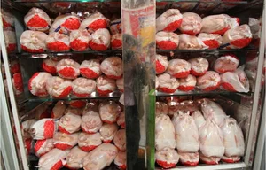 سوپر مرغ ناصری