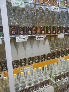 گلاب زائر