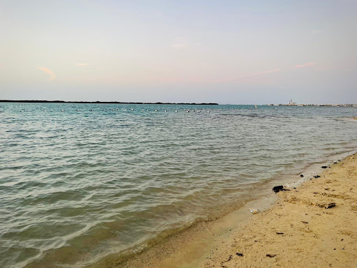 Thuwal beach
