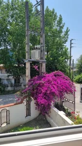 هتل آپارتمان کسری شایلی سابق 4