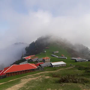 قهوه کلمبیا