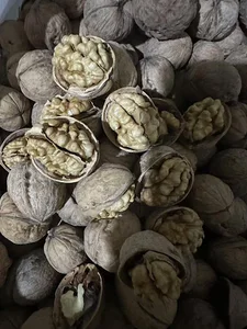 اجیل وخشکبار حاج عبدالله