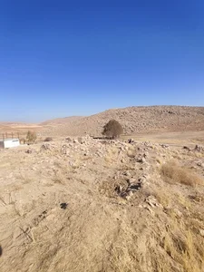 فتح آباد نورعلی