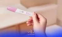 بی بی چک | راهنمای کامل استفاده، انواع، مزایا و تفسیر نتیجه