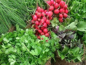 سبزیجات آماده مادر