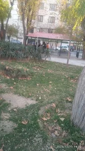 پارک شفق 5