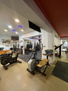 Ardalan GYM