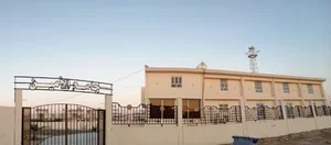 جامع ألامين