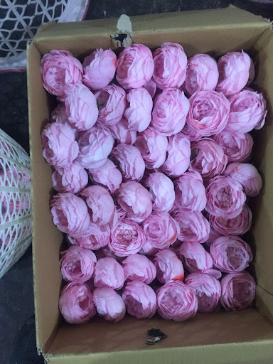 پارک رضوان