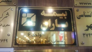 بیمه باران