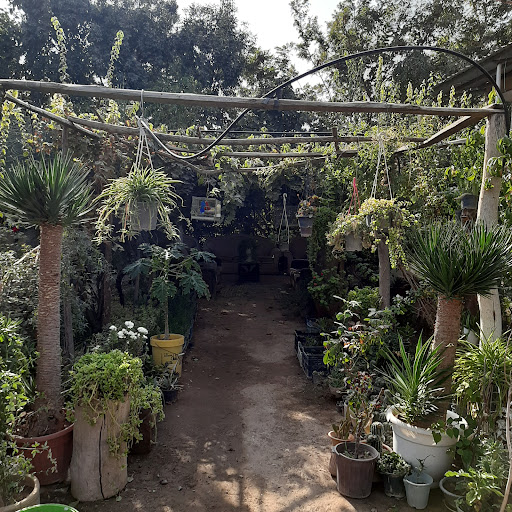 مزرعه گردشگری پرماکالچر