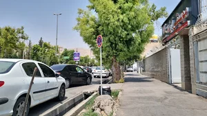 آموزشگاه موسیقی آرشه
