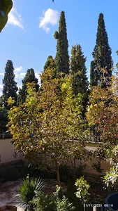 های تور