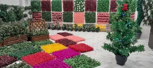 مجموعه ورزشی نشاط