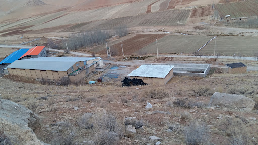 شرکت نوشان پردنجان