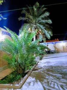 مسجد توتونچی بازار هییت عشاق المهدی