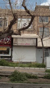 مسکن برتر 2