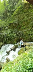 ام دی اف و چوب ایران