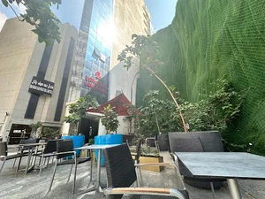 Alsafa Restaurant-مطعم الصفا