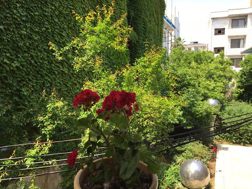 مرکز روزانه توانبخشی سالمندان سرای محبت