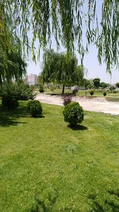 مهرگان