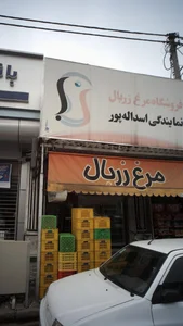 فروشگاه مرغ زربال 4