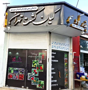 کیان کشت تهران