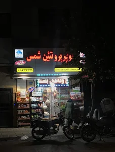 پروتئین شمس