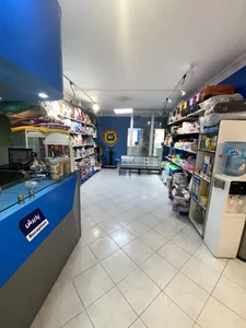 کلینیک دامپزشکی وی آی پت