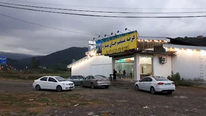 کارخانه چای برادران علی‌نیا