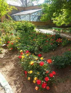 دانشکده کشاورزی 2