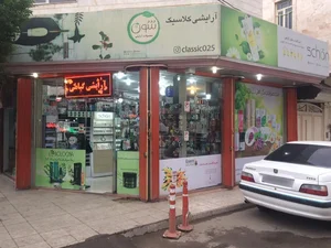 آرایشی کلاسیک 3