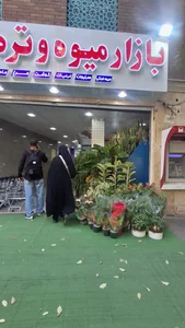 میدان میوه و تره بار هدایت 4