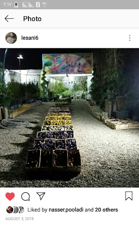 گل و گیاه لسانی