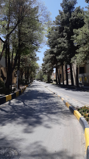 خیابان حمزه شمالی