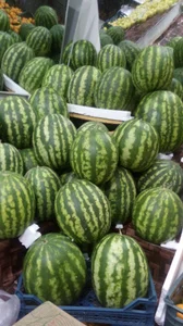 سوپر میوه لوکس مازیار(حسن زاده)
