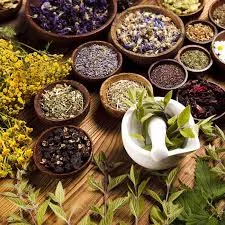 طب گیاهی حکیم