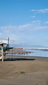 مکانی زیبا برای لب ساحل