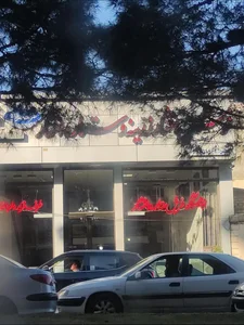 فرش ستاره افشار