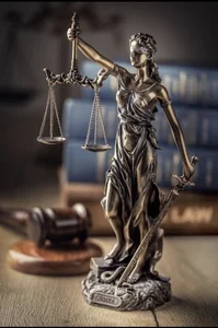 وکیل پایه یک دادگستری راضیه افتخاری 4