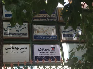 بیمه سامان دیانت دار