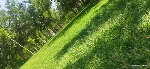 پمپ بنزین (شرق به غرب)
