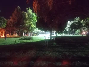 پارک