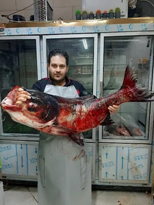 سوپرگوشت ومرغ بهنام