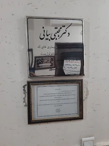 دکتر مجتبی بیانی