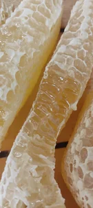 گالری آقای عسل 2