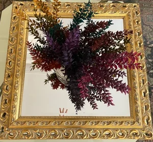 Olia gallery علیا گالری