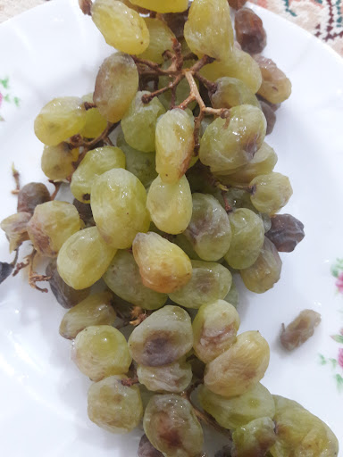 تصفیه آب منتشلو