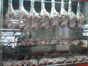 پروتئینی بینالود علیزاده
