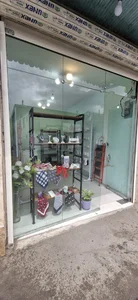 مانا گالری